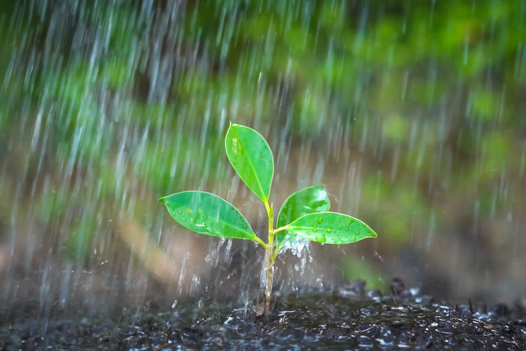 Inmet prevê chuva para os próximos 15 dias no país – O Presente Rural
