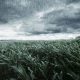 clima renan marchi