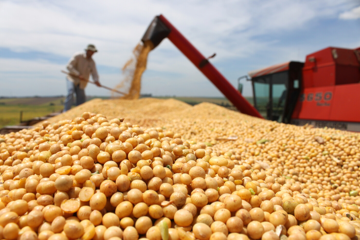 Maior demanda da soja eleva valores internos – O Presente Rural