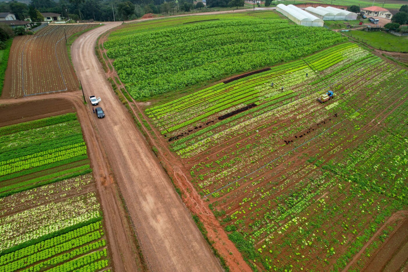 Evento de agricultura realizado em São Luís reúne centenas de produtores  rurais do Estado