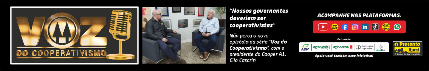 Aves em início de postura exigem atenção especial em alimentação