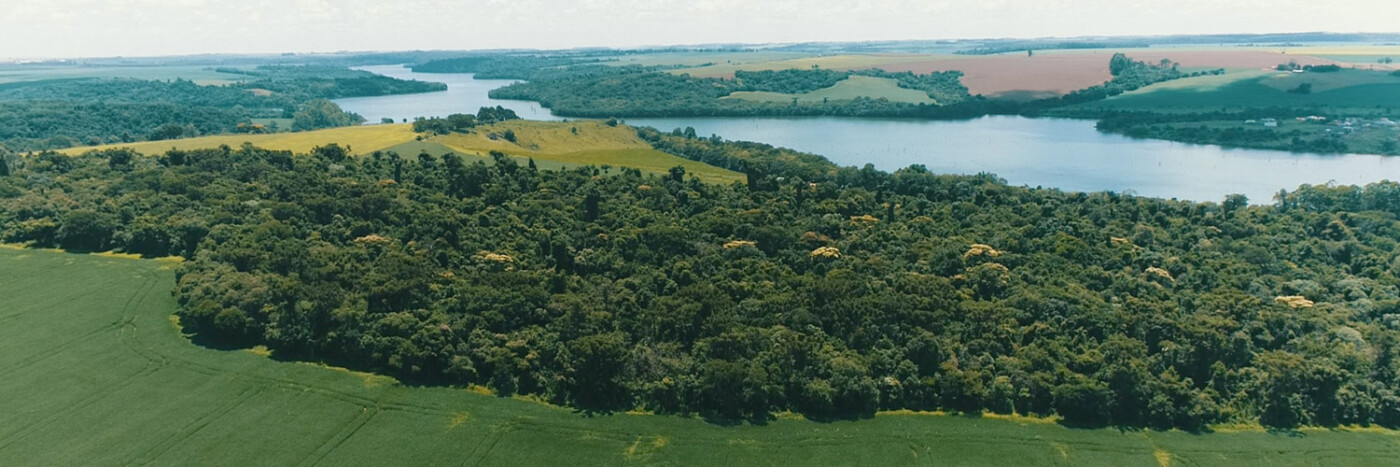 A Coopertradição - Dia de campo