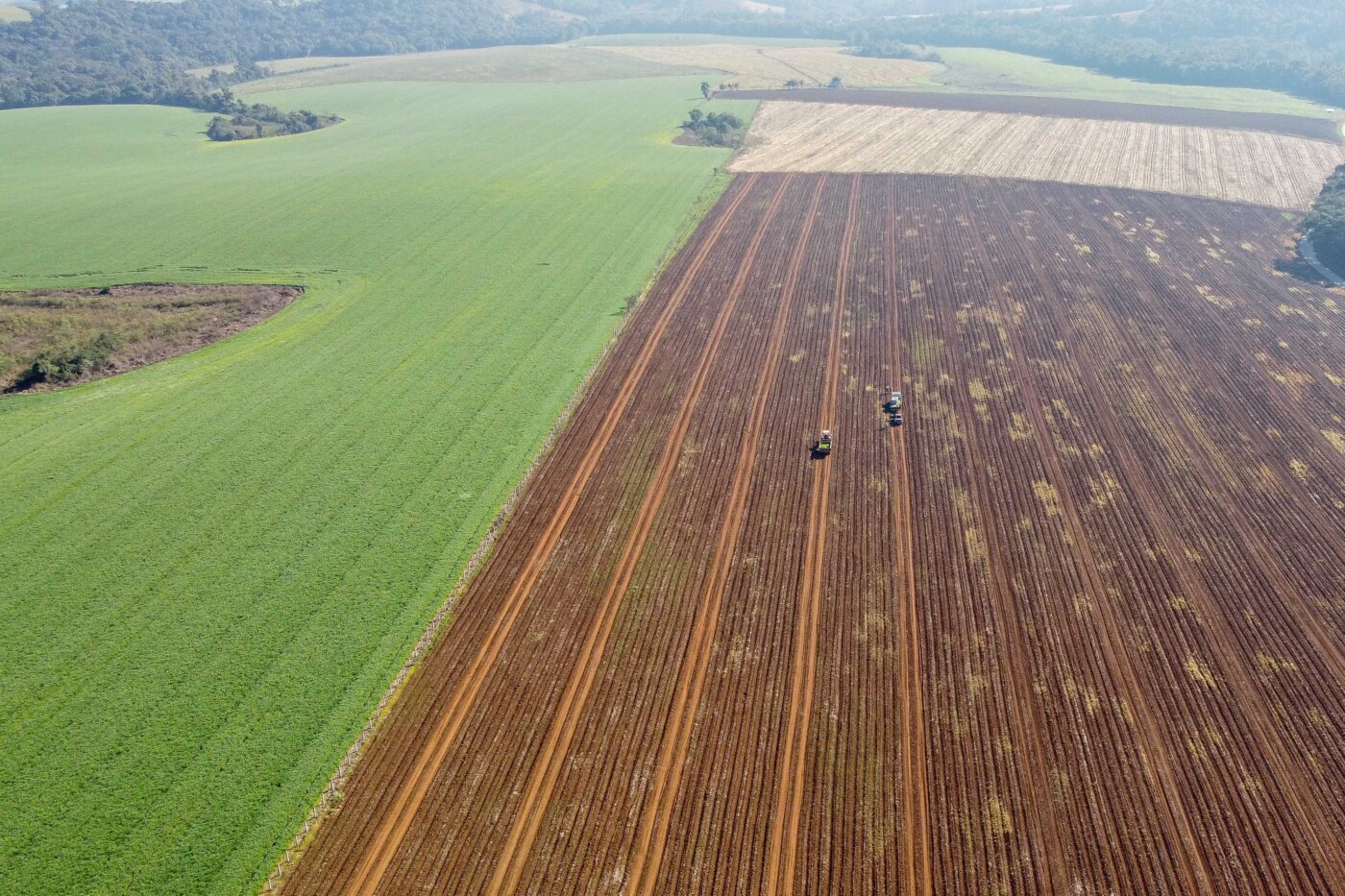 Agricultura regenerativa coloca saúde do solo no centro da produção